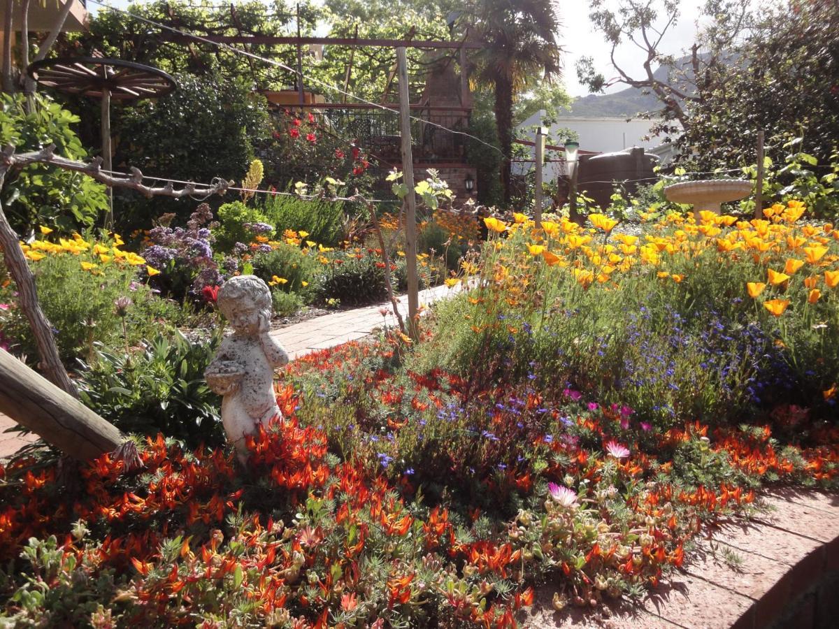 Bed and Breakfast Haus Perlenblick Paarl Exterior foto