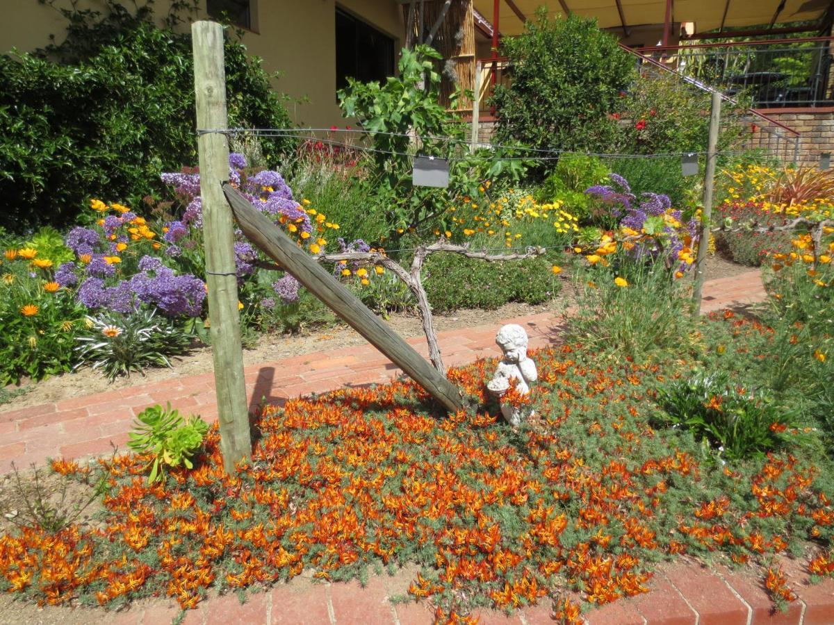 Bed and Breakfast Haus Perlenblick Paarl Exterior foto